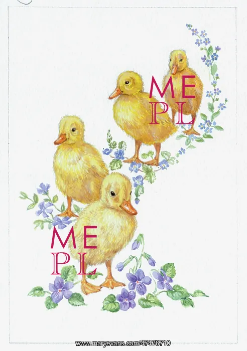 : Four Ducklings with violets, periwinkles etc : Four Ducklings with violets, periwinkles etc