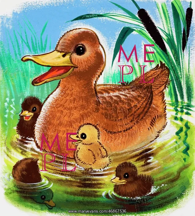  : Ducks