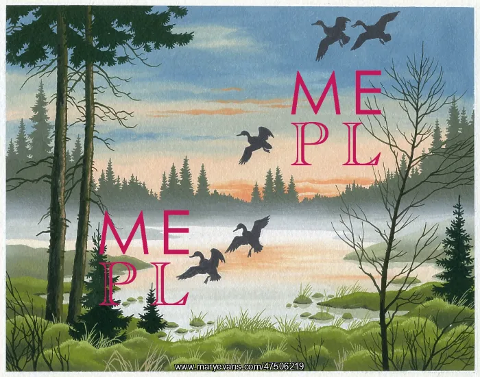  : Ducks in flight over misty lake