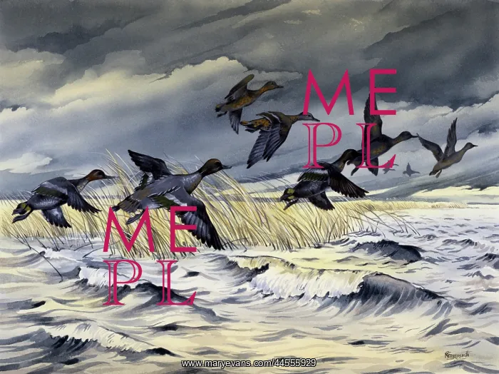  : Ducks flying across rough water during a storm