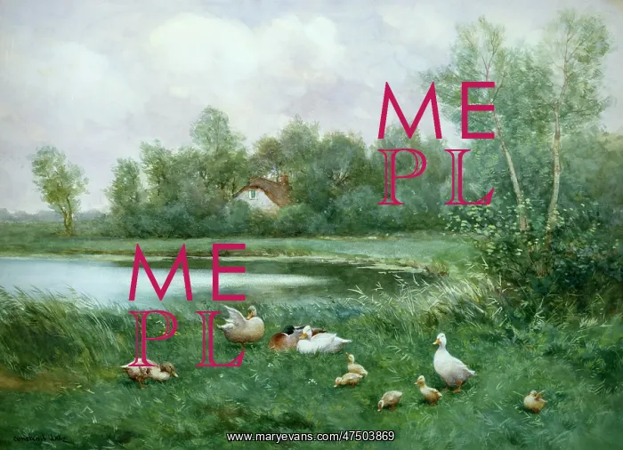 : Ducks by a Pond : Ducks by a Pond