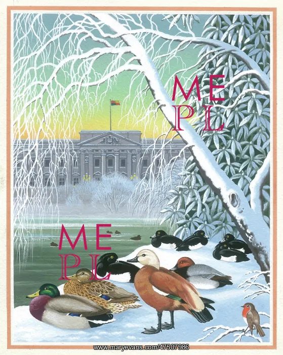 : Ducks in the snow beside lake : Ducks in the snow beside lake
