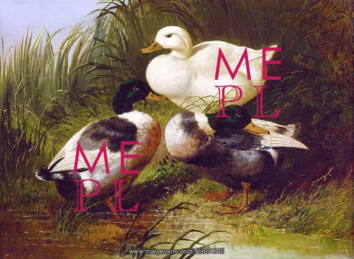 : Ducks by a Stream, by John Frederick Herring Jr : Ducks by a Stream, by John Frederick Herring Jr