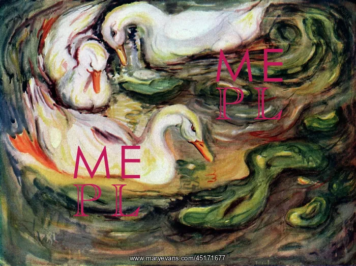 : Duckweed. Watercolour paintings of three American Pekin ducks swimming : Duckweed. Watercolour paintings of three American Pekin ducks swimming