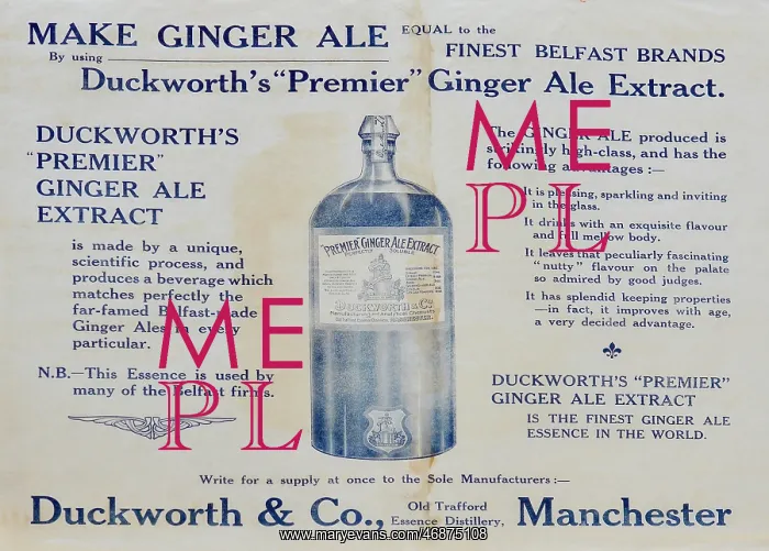 : Duckworths Premier Ginger Ale extract : Duckworths Premier Ginger Ale extract
