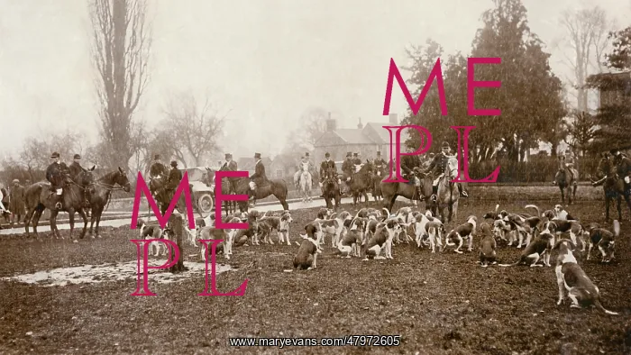 : Duke of Beaufort's Hunt : Duke of Beaufort's Hunt