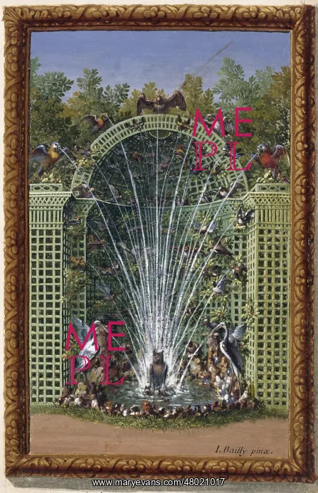 : The Duke and the birds : The Duke and the birds