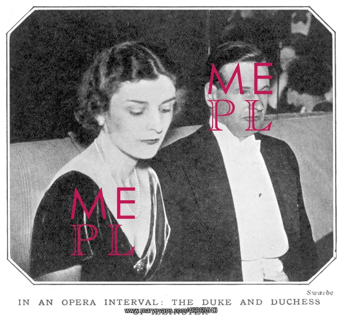 : The Duke and Duchess of Leinster at the opera : The Duke and Duchess of Leinster at the opera