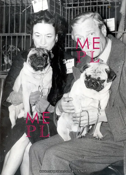 : Duke & Duchess of Windsor in Paris : Duke & Duchess of Windsor in Paris