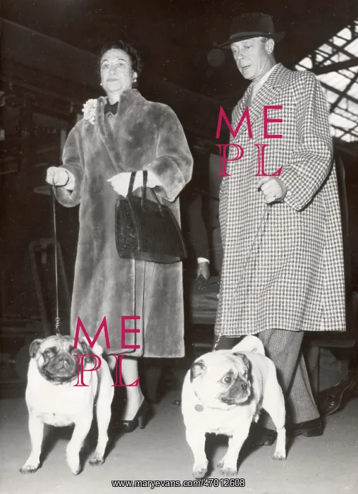 : Duke & Duchess of Windsor in Paris : Duke & Duchess of Windsor in Paris