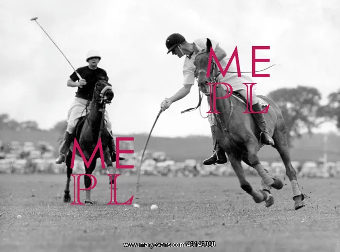 : Duke of Edinburgh at polo event, Cowdray Park : Duke of Edinburgh at polo event, Cowdray Park
