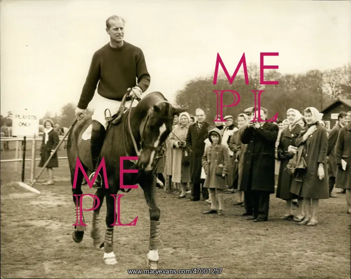 : Duke of Edinburgh at a polo event, Windsor : Duke of Edinburgh at a polo event, Windsor