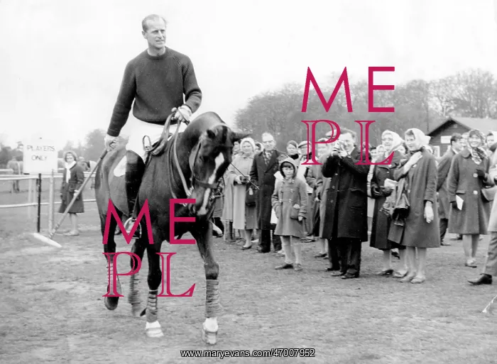 : Duke of Edinburgh at a polo event, Windsor : Duke of Edinburgh at a polo event, Windsor