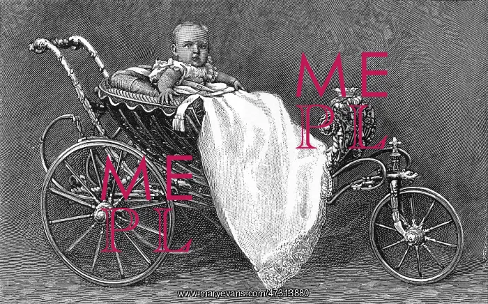 : DUKE IN PRAM 1870 : DUKE IN PRAM 1870