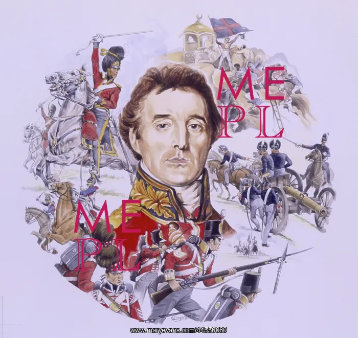 : The Duke Of Wellington : The Duke Of Wellington