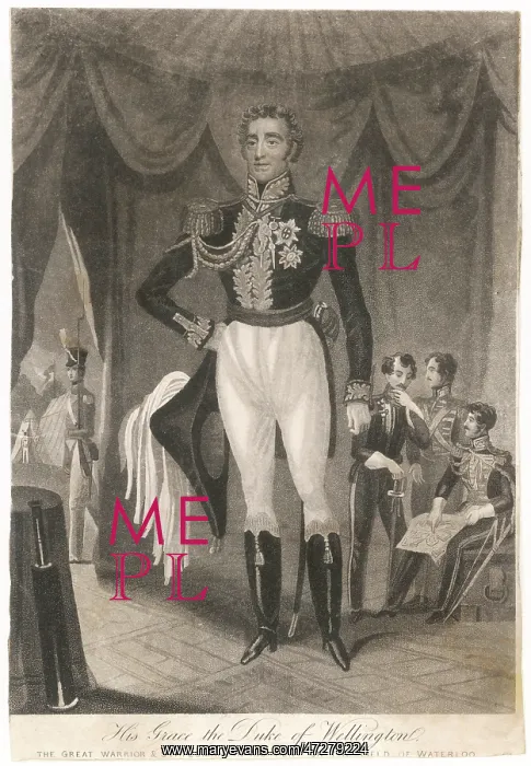 : Duke of Wellington : Duke of Wellington
