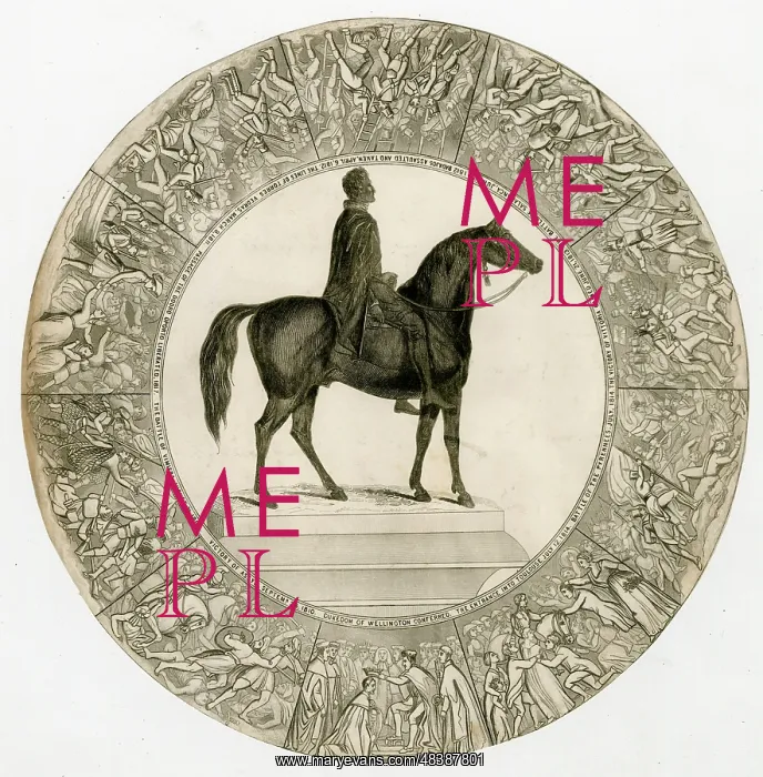 : Duke of Wellington commemorative plate : Duke of Wellington commemorative plate