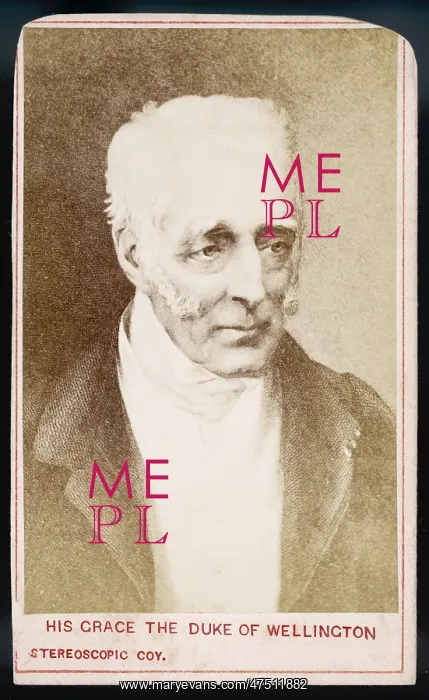 : DUKE WELLINGTON / STEREO : DUKE WELLINGTON / STEREO