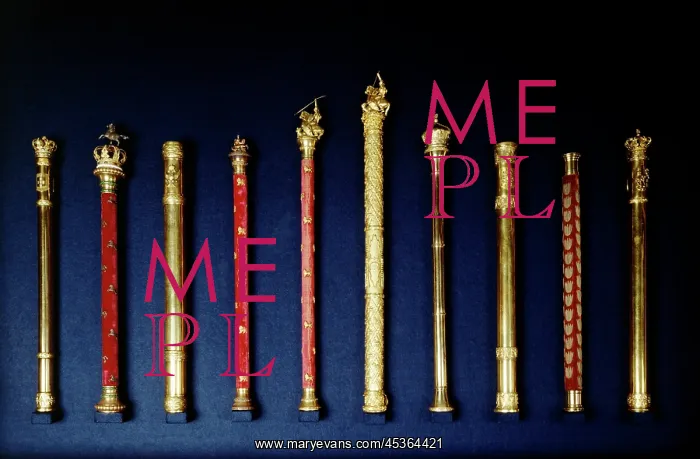 : Duke of Wellington's batons : Duke of Wellington's batons