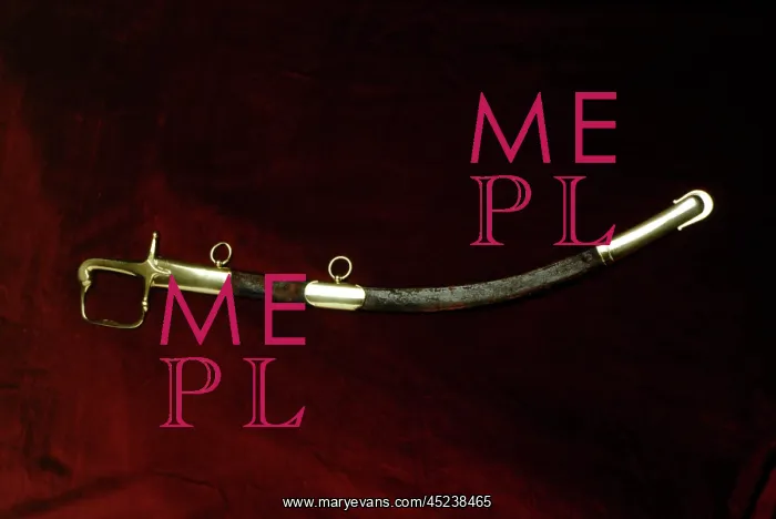 : Duke of Wellington's sabre : Duke of Wellington's sabre