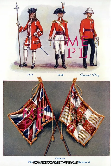 : Duke of Wellington's West Riding Regiment and Colours : Duke of Wellington's West Riding Regiment and Colours