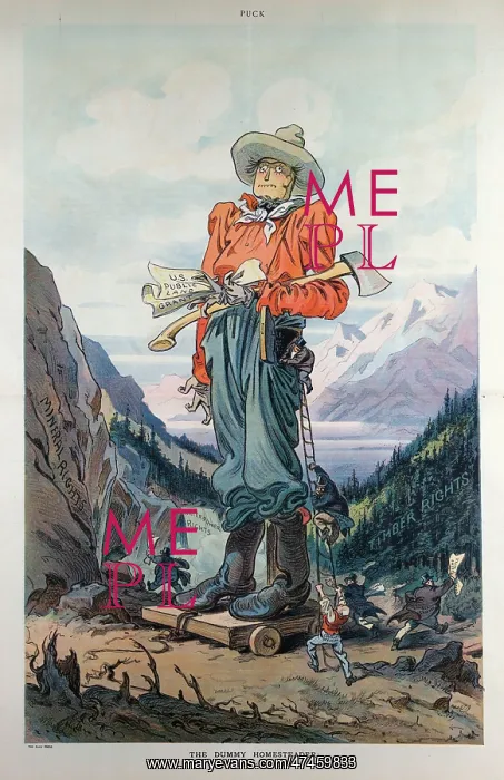 : The dummy homesteader; or, the winning of the West : The dummy homesteader; or, the winning of the West