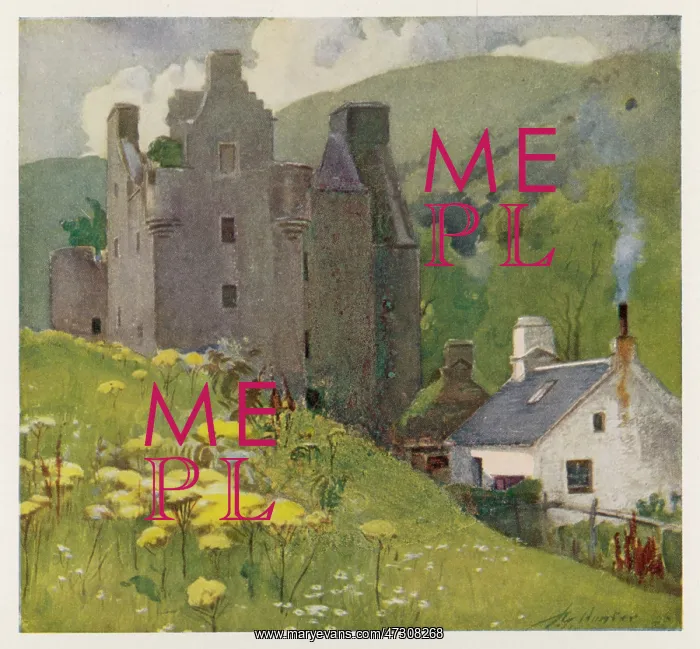  : DUNDERAVE CASTLE 1906