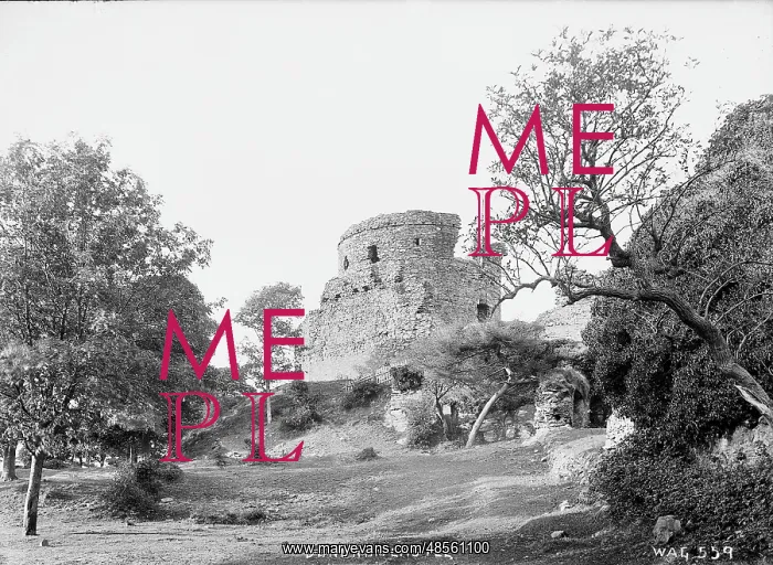 : Dundrum Castle : Dundrum Castle