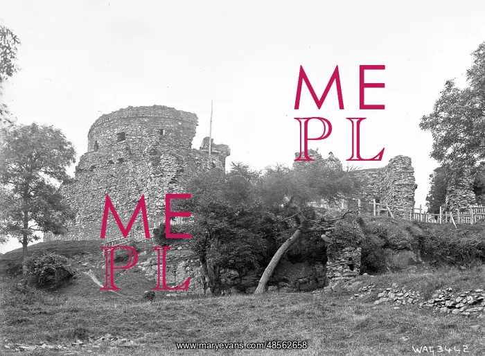  : Dundrum Castle