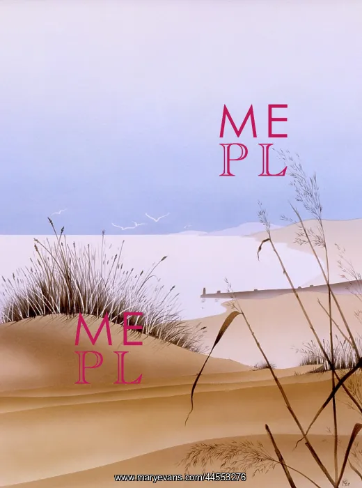 : Dune Grass - Picture 1 of 2 : Dune Grass - Picture 1 of 2