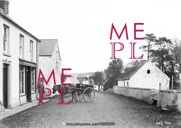 : Duneane, Toomebridge : Duneane, Toomebridge