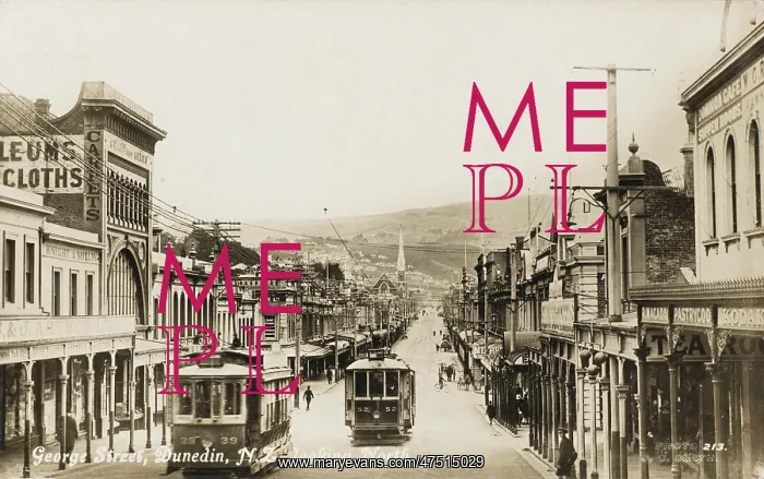  : Dunedin, New Zealand