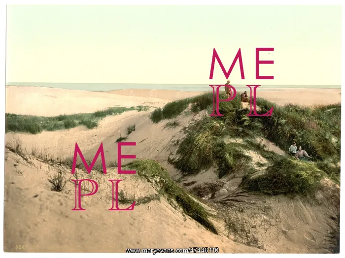 : The dunes, Sylt Listland, Westerland, Sylt, Schleswig-Holste : The dunes, Sylt Listland, Westerland, Sylt, Schleswig-Holste