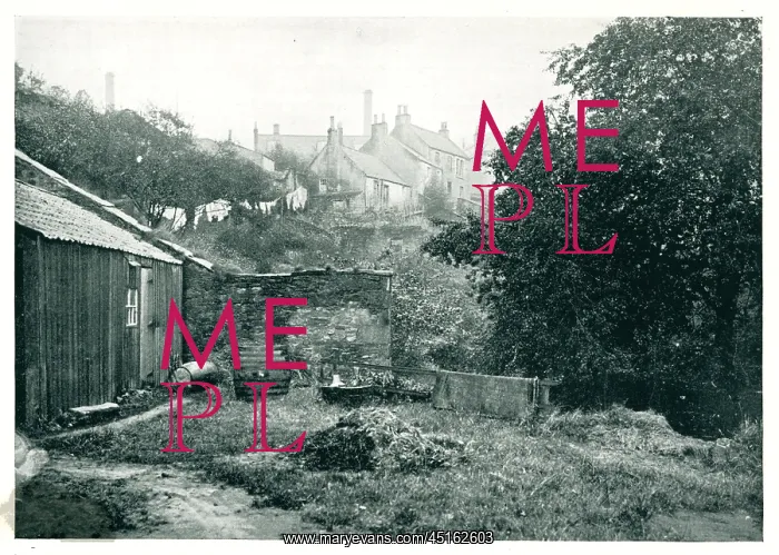 : Dunfermline Cottages : Dunfermline Cottages