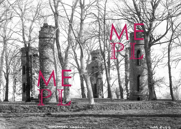 : Dungannon Castle : Dungannon Castle
