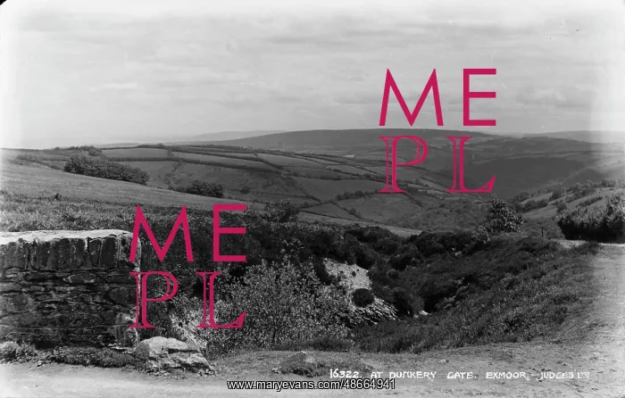 : At Dunkery Gate, Exmoor : At Dunkery Gate, Exmoor