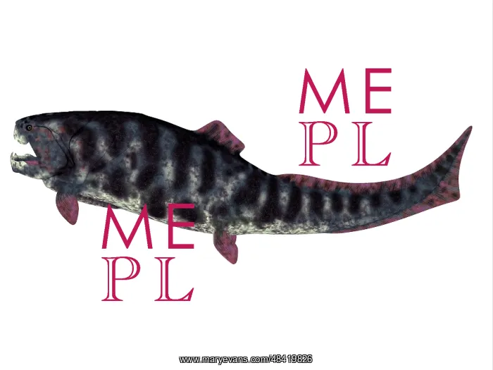 : Dunkleosteus prehistoric fish from the Devonian period : Dunkleosteus prehistoric fish from the Devonian period