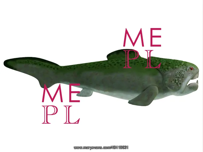 : Dunkleosteus prehistoric fish from the Devonian period : Dunkleosteus prehistoric fish from the Devonian period