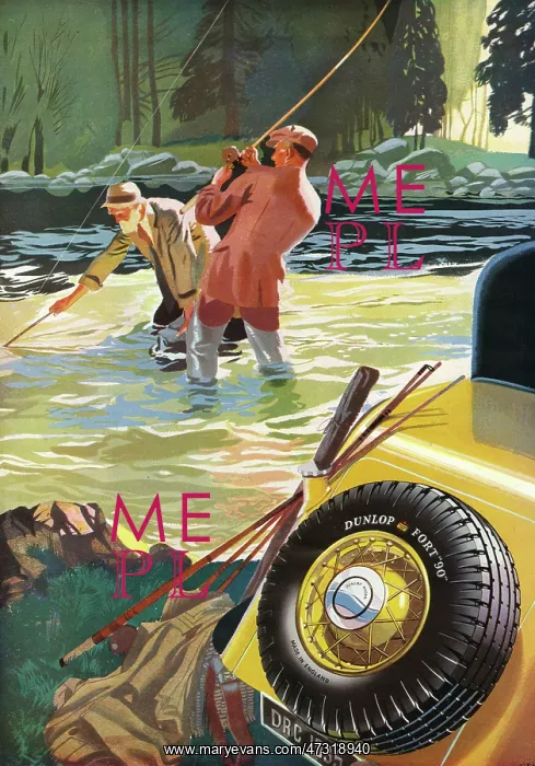 : DUNLOP TYRE ADVERT : DUNLOP TYRE ADVERT