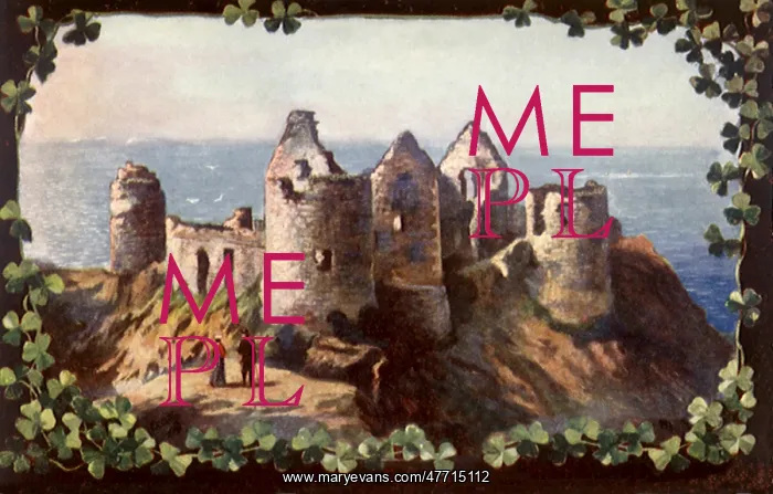 : Dunluce Castle : Dunluce Castle