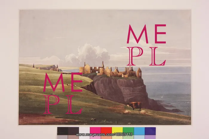 : Dunluce Castle from the Road : Dunluce Castle from the Road