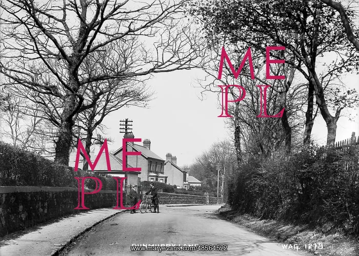  : Dunmurry Lane