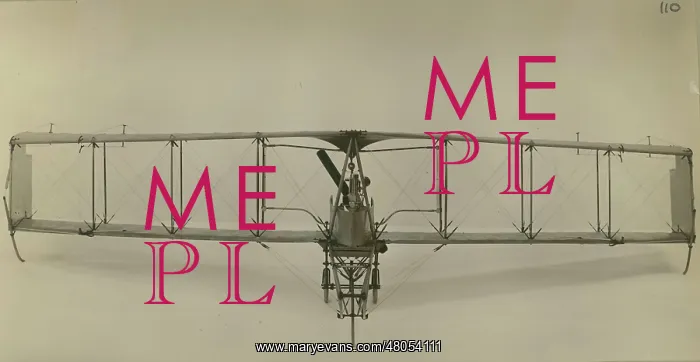 : Dunne D8bis model : Dunne D8bis model