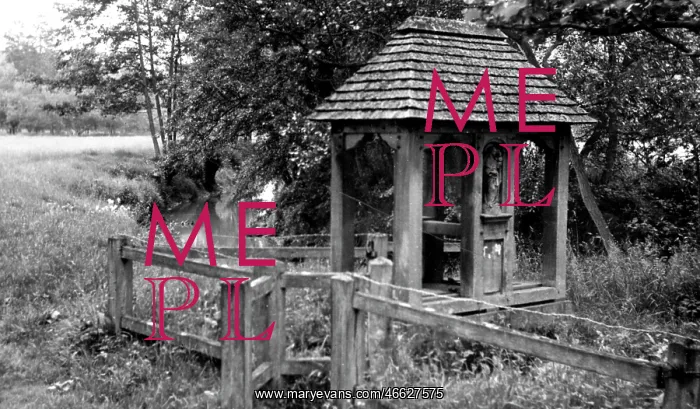  : Dunsfold, the Holy Well c1955