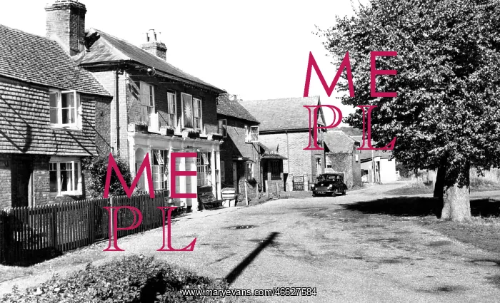  : Dunsfold, the Sun Inn c1960