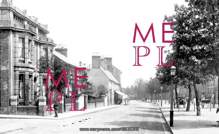  : Dunstable, West Street 1898