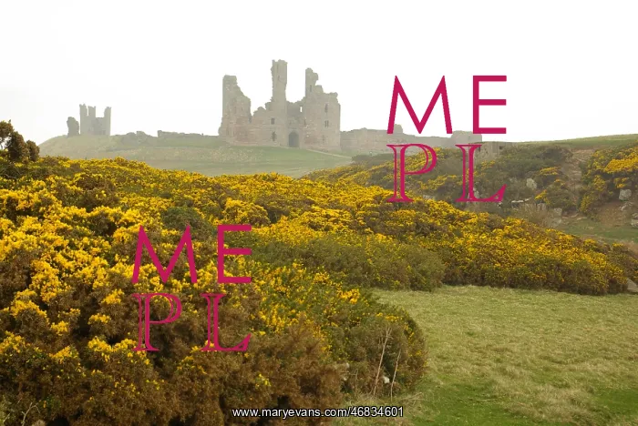  : Dunstanburgh Castle, Northumberland