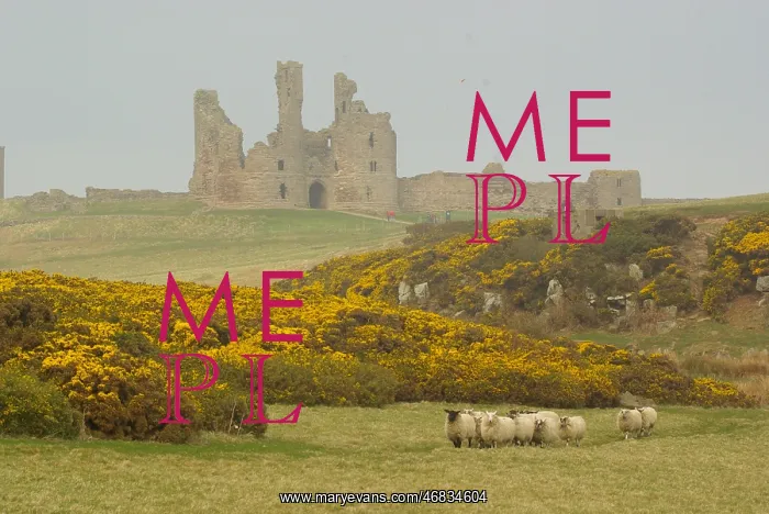 : Dunstanburgh Castle, Northumberland