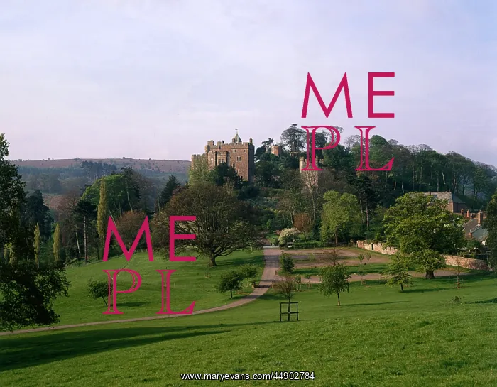 : Dunster Castle, Dunster, Somerset : Dunster Castle, Dunster, Somerset