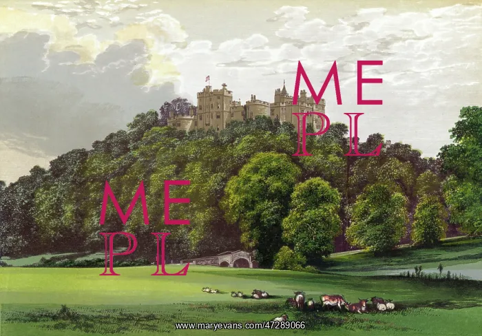  : DUNSTER CASTLE / SOMERSET